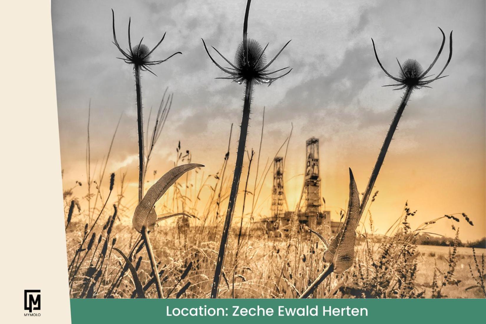 Glamping In Der Zeche Ewald Herten Herten  Exterior foto